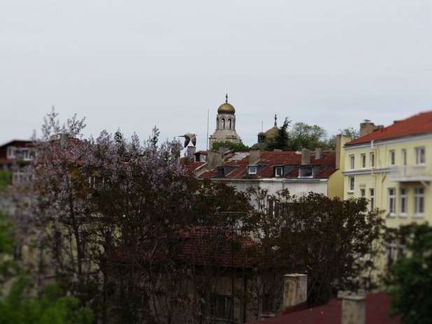 варна варна