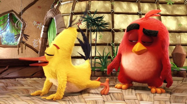 angry birds angry birds