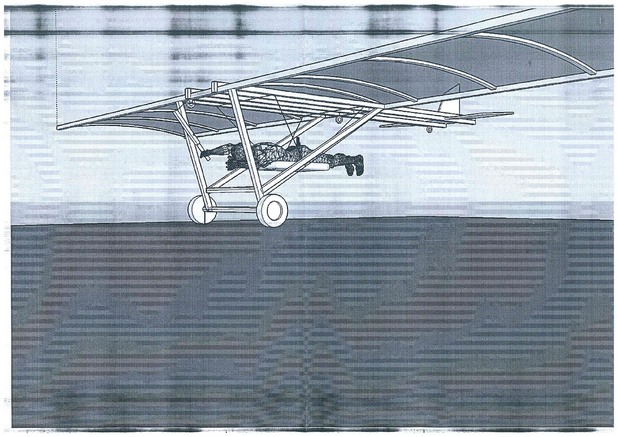 Red Bull FLUGTAG, резултати Red Bull FLUGTAG, резултати
