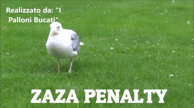 дзадза дзадза