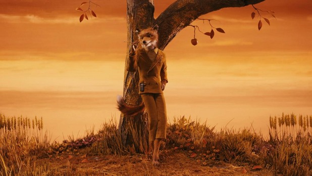 mr fox mr fox