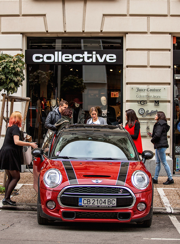 Mini Collective Experience Mini Collective Experience