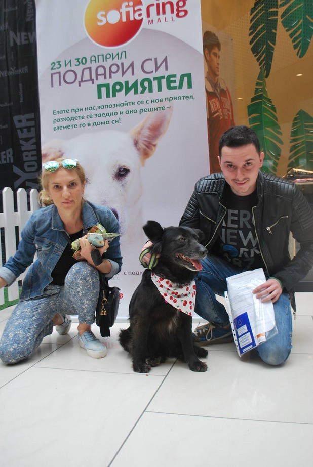 Подари си приятел Подари си приятел