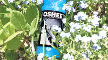 oshee1