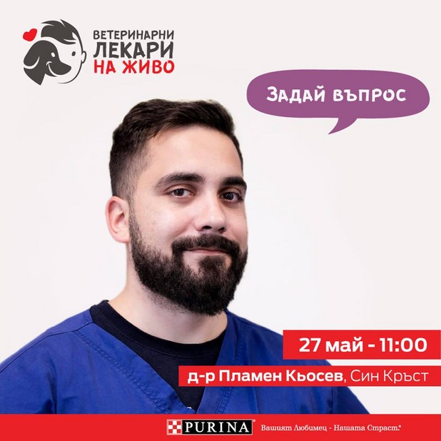 д-р кьосев д-р кьосев