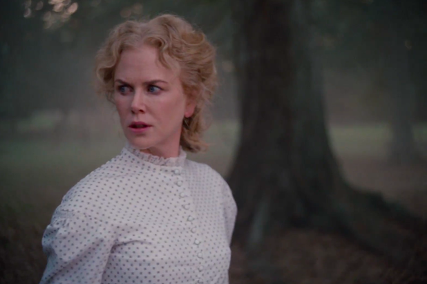 the beguiled the beguiled