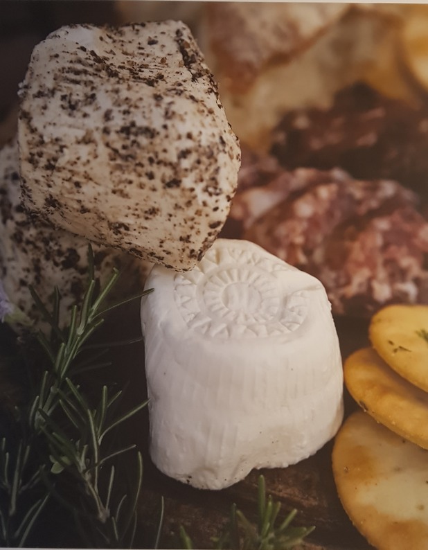 food maps food maps
