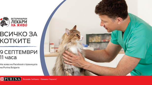 Обучителна сесия Purina Обучителна сесия Purina