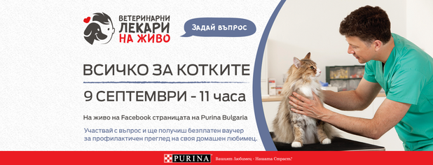 purina, всичко за котките purina, всичко за котките