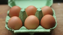 eggs