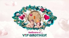 vip-brother-2017
