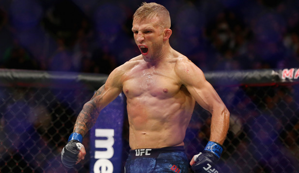 gsp,ufc,ufc 217, коди гарбрант, ти джей дилашоу gsp,ufc,ufc 217, коди гарбрант, ти джей дилашоу