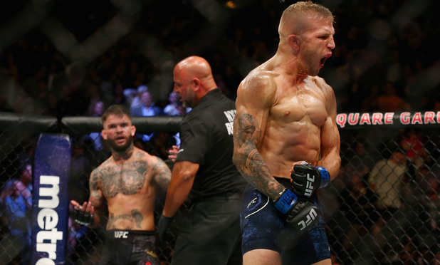 gsp,ufc,ufc 217, коди гарбрант, ти джей дилашоу gsp,ufc,ufc 217, коди гарбрант, ти джей дилашоу
