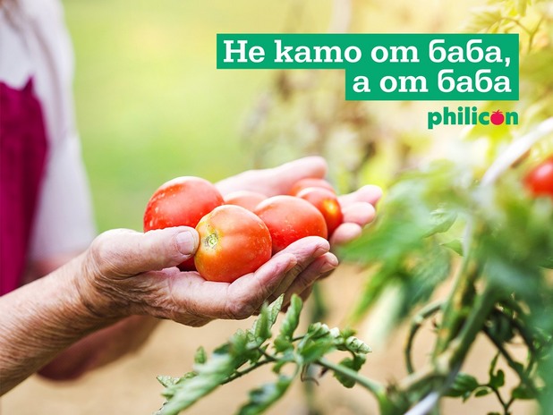 филикон, лютеница филикон филикон, лютеница филикон