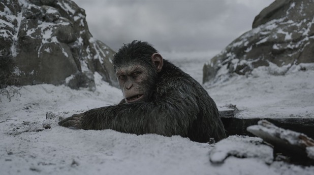 War for the Planet of the Apes, планетата на маймуните War for the Planet of the Apes, планетата на маймуните