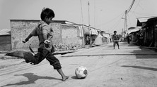 wild-football