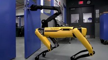 bostondyn-1302-1