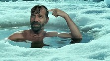 wimhof