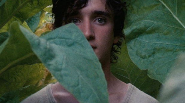 Happy as Lazzaro Happy as Lazzaro
