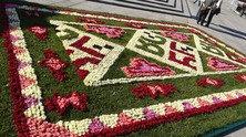 cveten-kilim-ndk-5