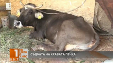 penka-kopilovtsi