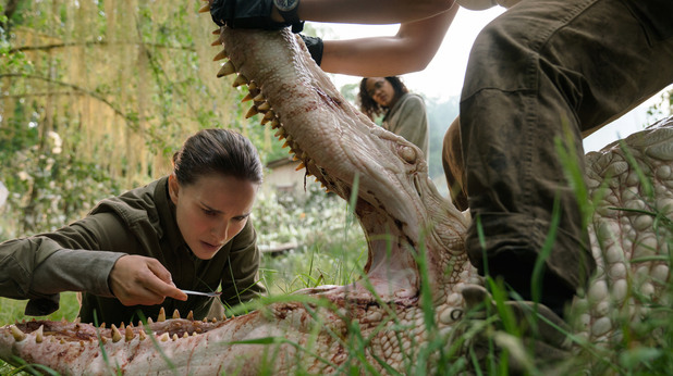 annihilation annihilation