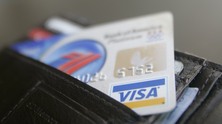 visa3838