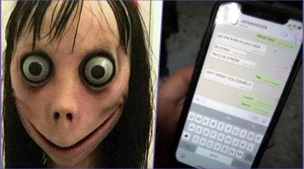 Momo Momo