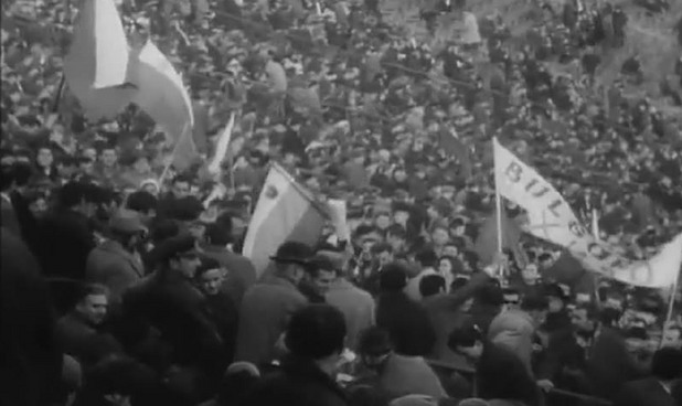 фенове на българия фенове на българия