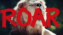 Roar Roar