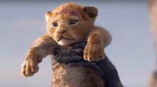 simba2311