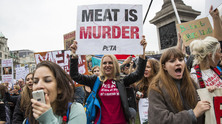 vegan-2012