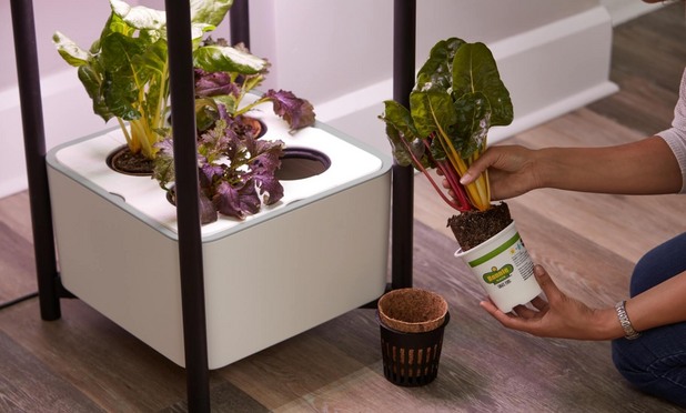 Miracle Gro Twelve Miracle Gro Twelve