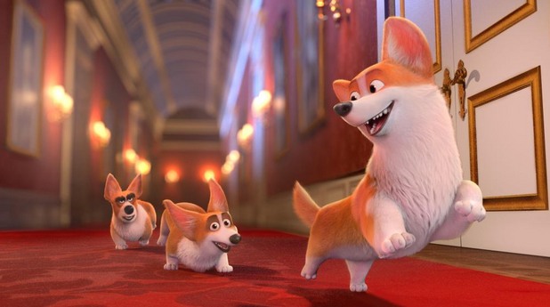 Queens Corgi Queens Corgi