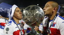 tigre