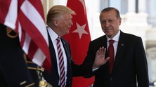 trumperdogan