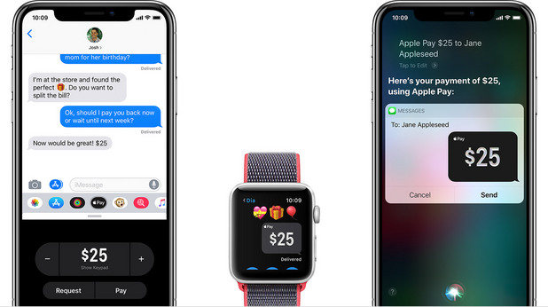 apple pay apple pay